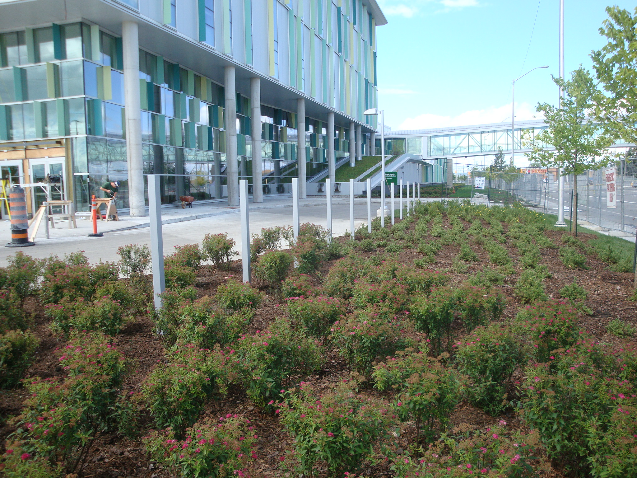 Ottawa campus and civic landscape planning. GJA Inc.